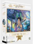 Harry Potter Counting The Days Puzzle, , hi-res