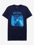 Harry Potter And The Order Of The Phoenix Book Cover T-Shirt, NAVY, hi-res