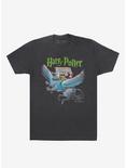 Harry Potter And The Prisoner Of Azkaban Book Cover T-Shirt, CHARCOAL, hi-res