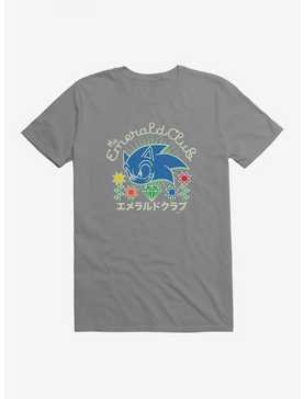 Sonic The Hedgehog Emerald Club Sonic T-Shirt, STORM GREY, hi-res