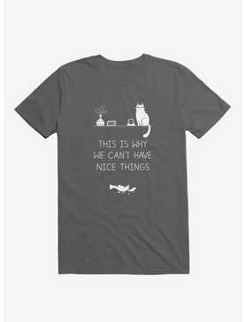 This Is Why We Can't Have Nice Things Cat Asphalt Grey T-Shirt, , hi-res