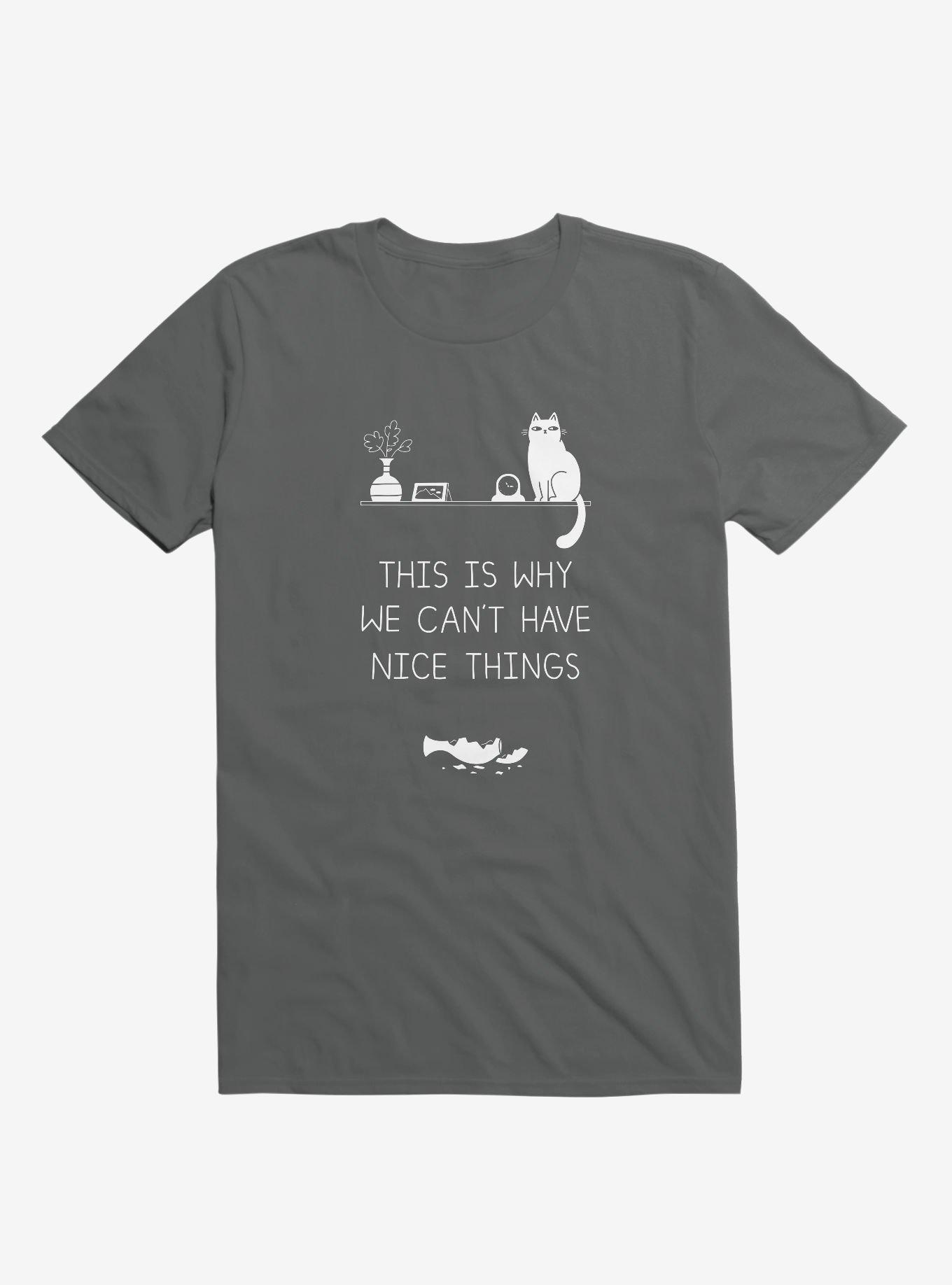 This Is Why We Can't Have Nice Things Cat Asphalt Grey T-Shirt, ASPHALT, hi-res