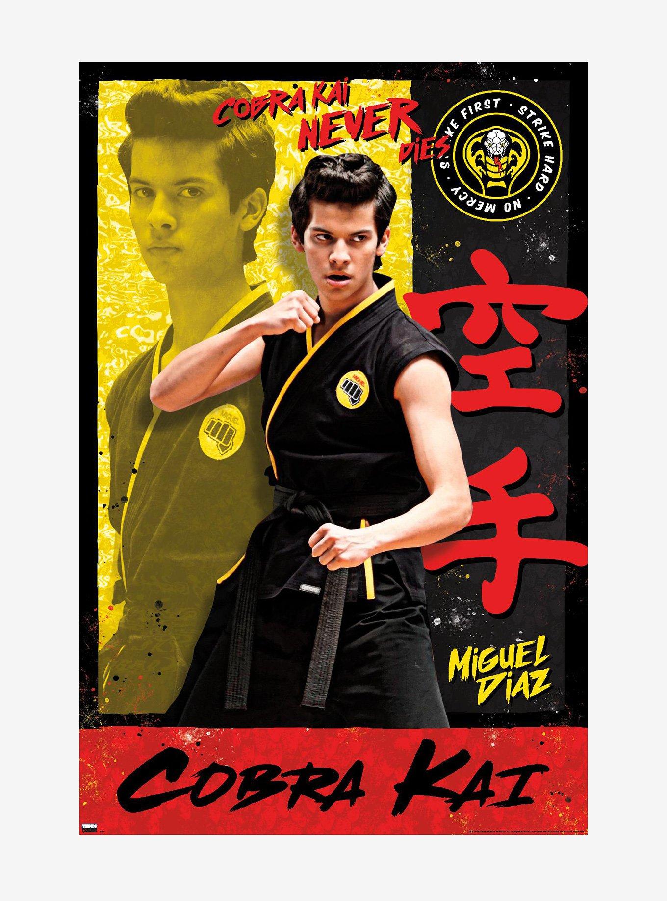 Cobra Kai Miguel Poster, , hi-res