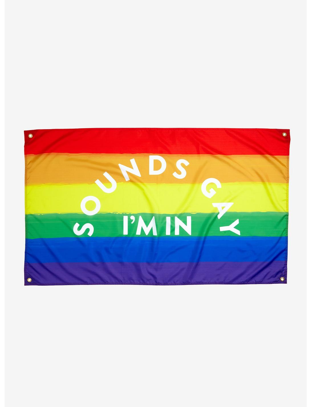Sounds Gay Rainbow Stripe Banner, , hi-res