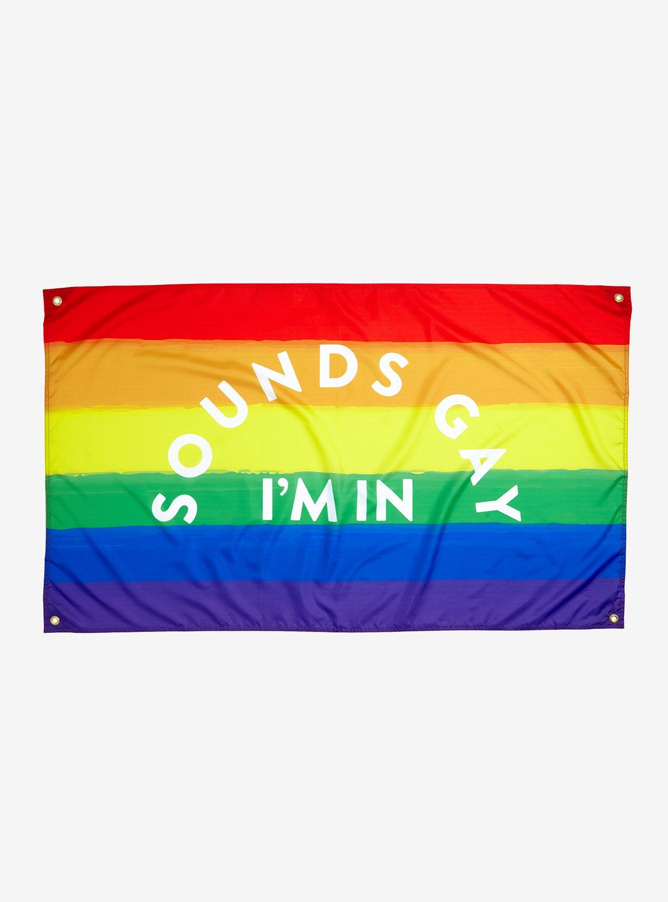 Sounds Gay Rainbow Stripe Banner, , hi-res