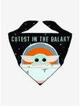 Star Wars The Mandalorian Cutest in the Galaxy Pet Bandana, MULTI, hi-res