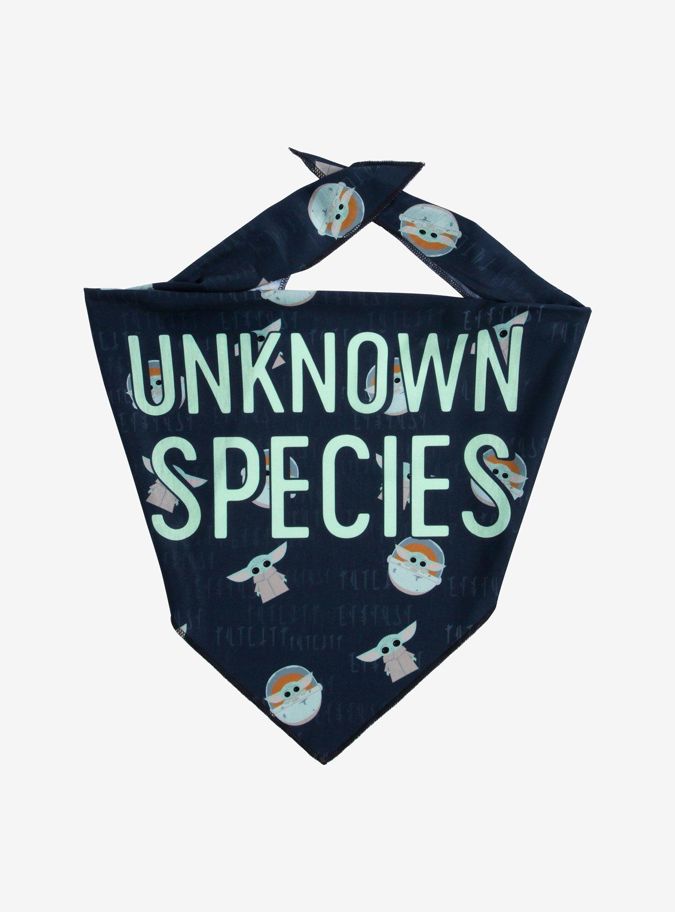 Star Wars The Mandalorian Unknown Species Pet Bandana, MULTI, hi-res