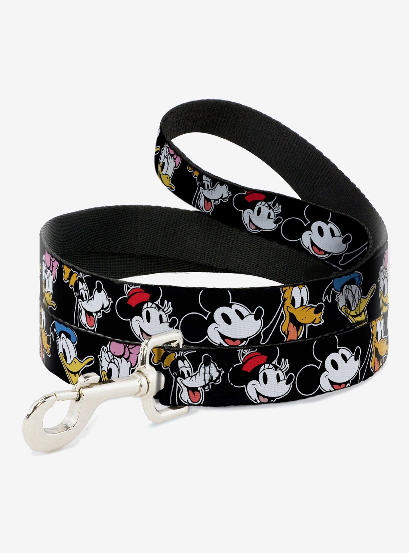 Buckle-Down Disney The Sensational Six Dog Leash, , hi-res