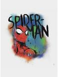 Marvel Spider-Man Classic Graffiti Burst Peel And Stick Giant Wall Decals, , hi-res