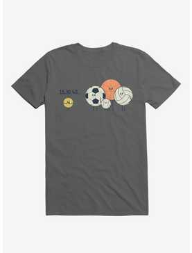 Sports Balls Playing Hide And Seek Charcoal Grey T-Shirt, , hi-res