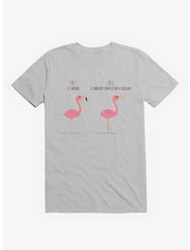 Know Your Birds A Flamingo Or Sunburned Swan Ice Grey T-Shirt, , hi-res