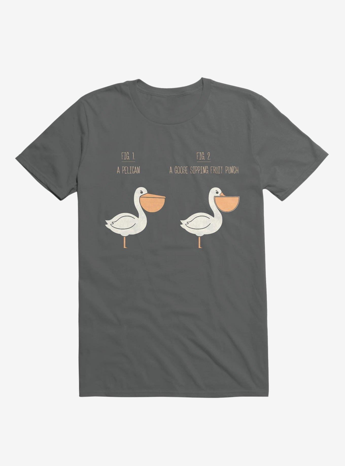 Know Your Birds A Pelican Or A Goose Charcoal Grey T-Shirt, CHARCOAL, hi-res
