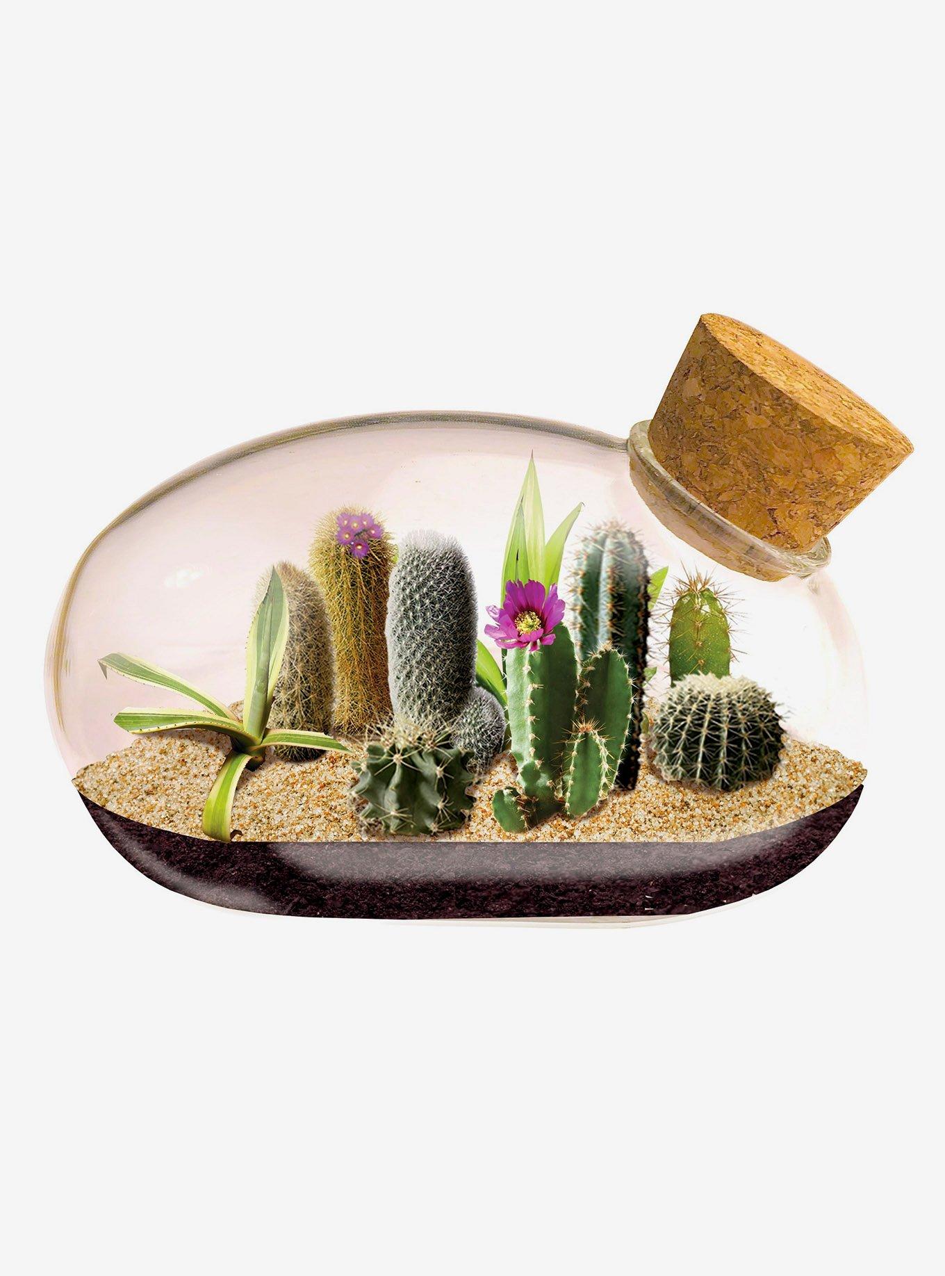 Desert Mouse Miniature Terrarium, , hi-res