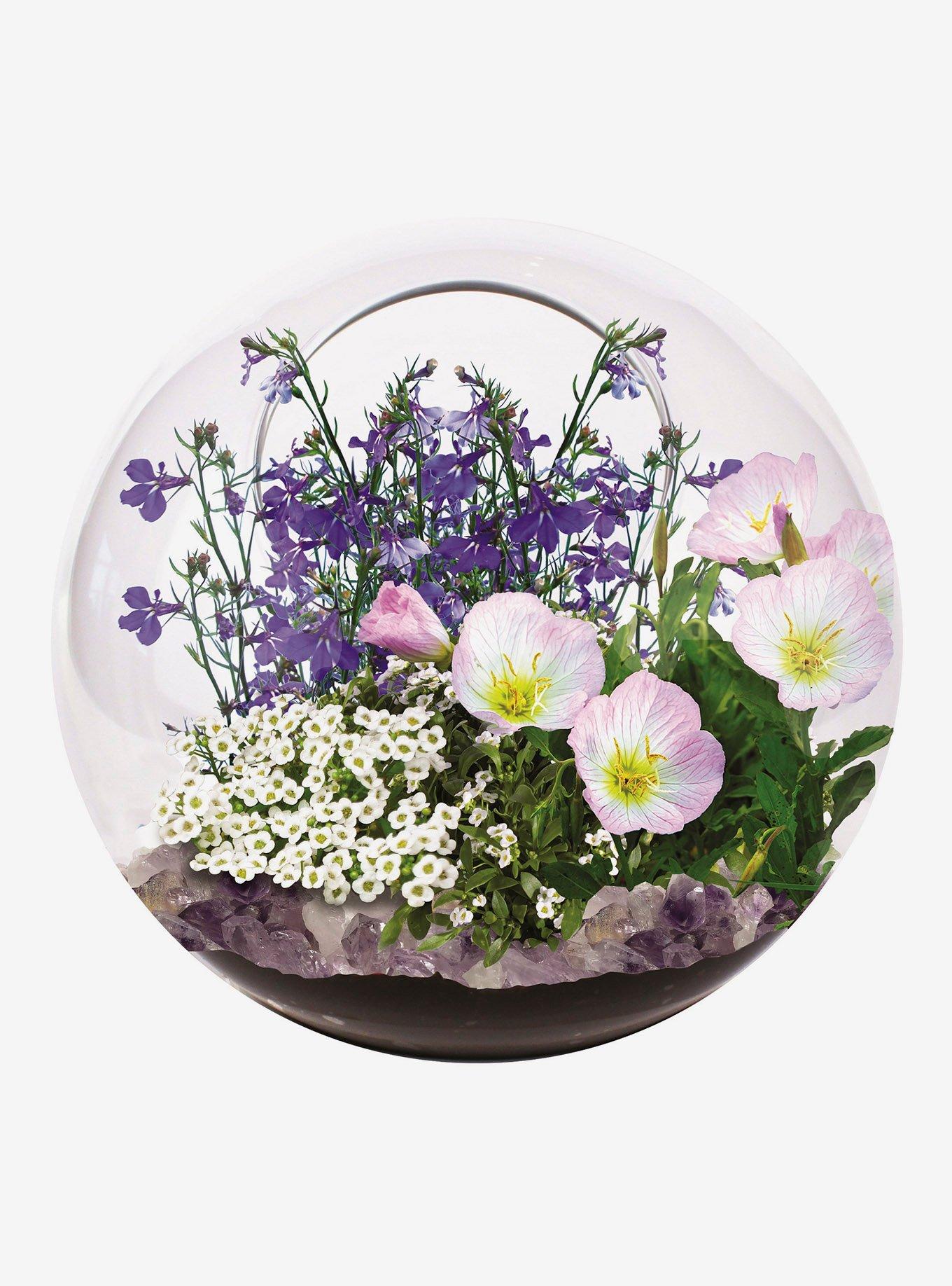 Fairy Triad Miniature Terrarium, , hi-res