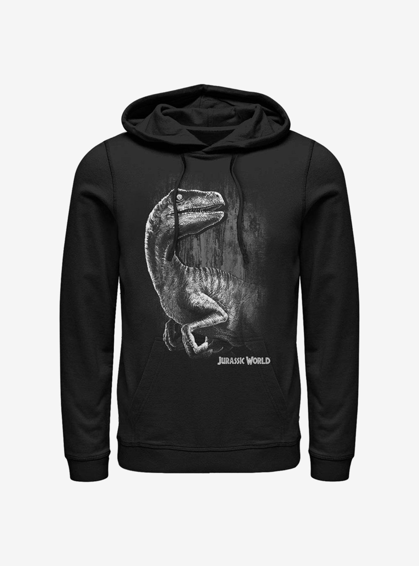 Jurassic Park Raptor Smile Hoodie, , hi-res