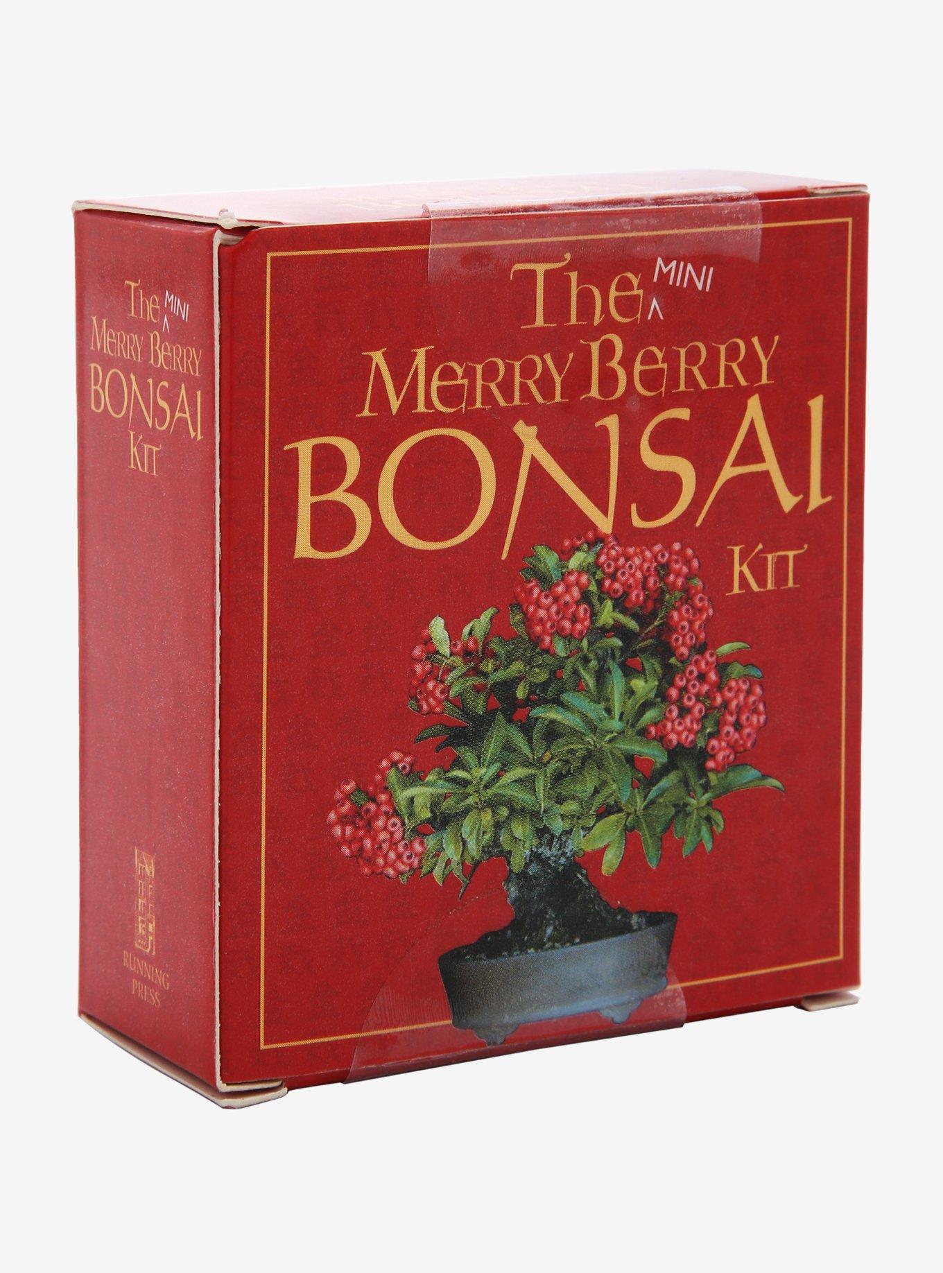 The Mini Merry Berry Bonsai Kit, , hi-res