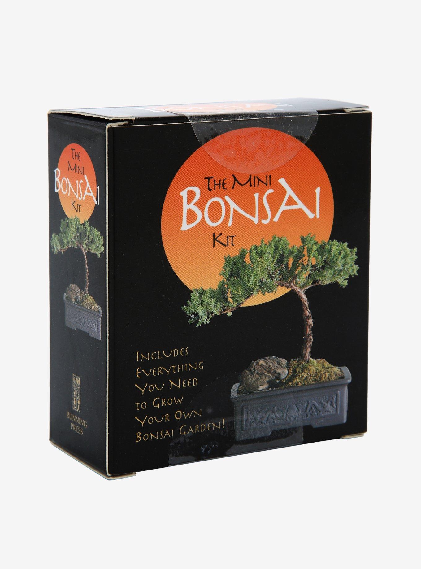 The Mini Bonsai Kit: Buy The Mini Bonsai Kit by Press Running at Low Price  in India