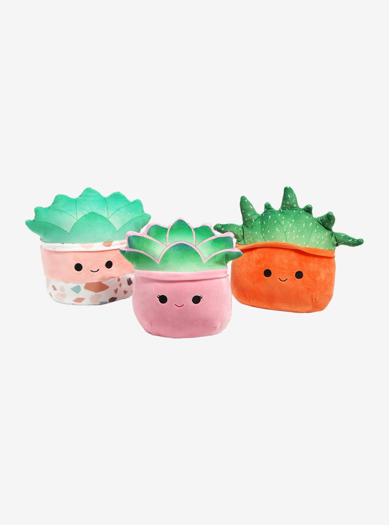 Squishmallows Succulent Assorted Blind Plush, , hi-res