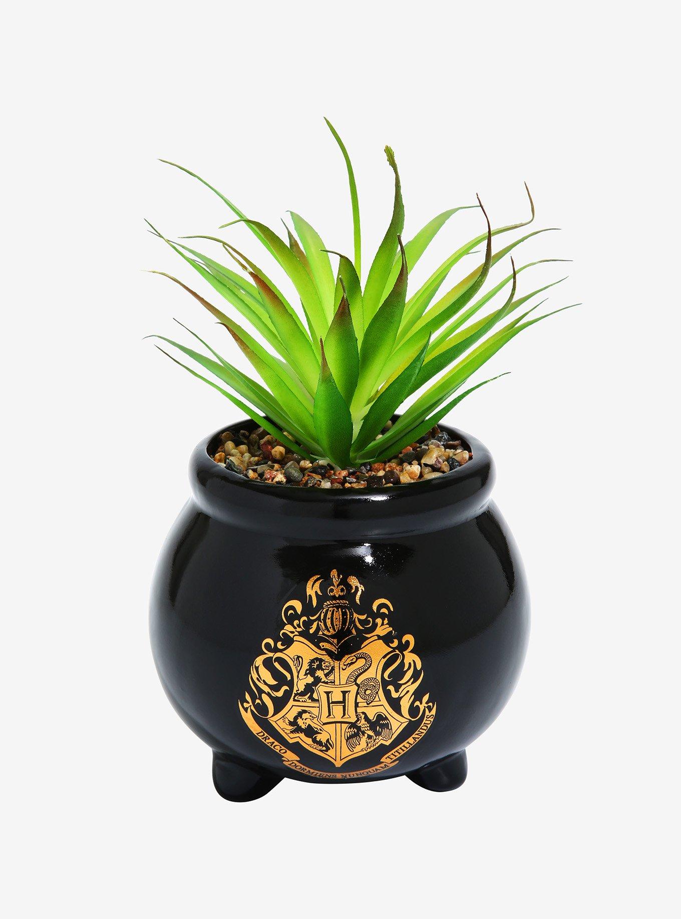 Harry Potter Hogwarts Cauldron Faux Succulent Planter, , hi-res