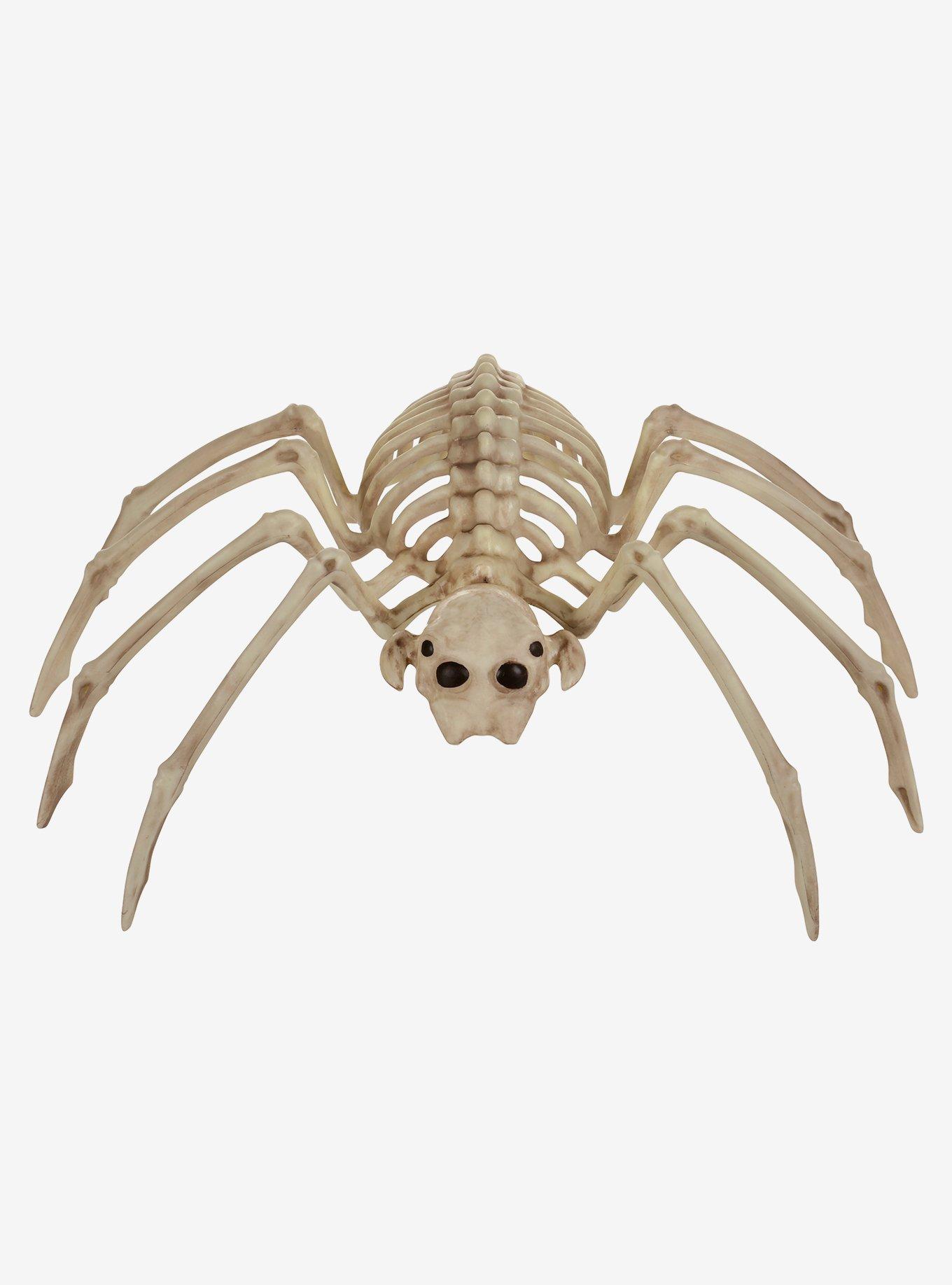 Spider Skeleton Decoration