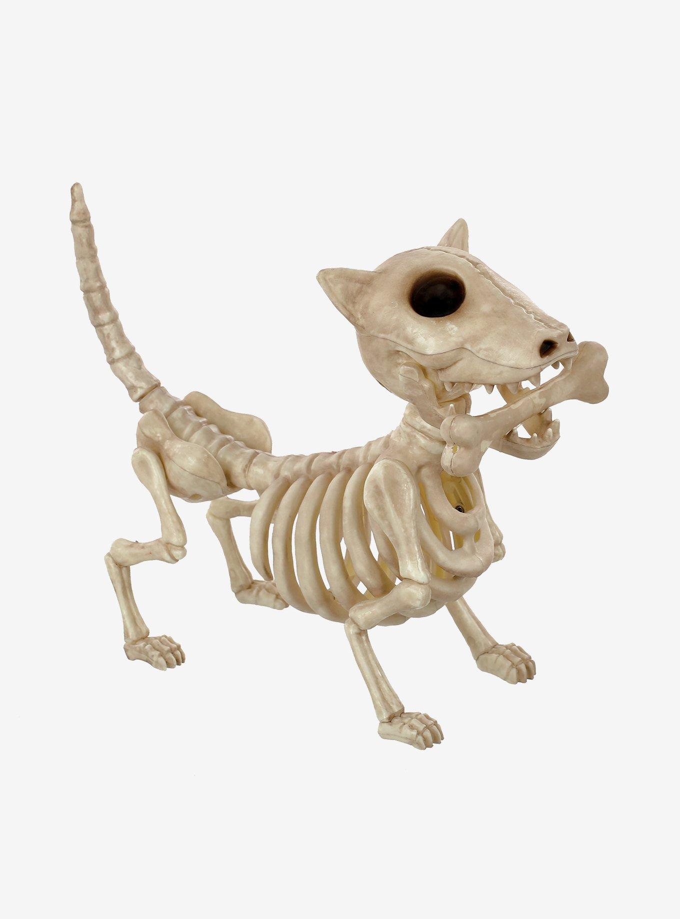 Dog Skeleton With Bone Decoration, , hi-res
