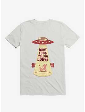 Why Did You Took So Long Alien Funny T-Shirt, , hi-res