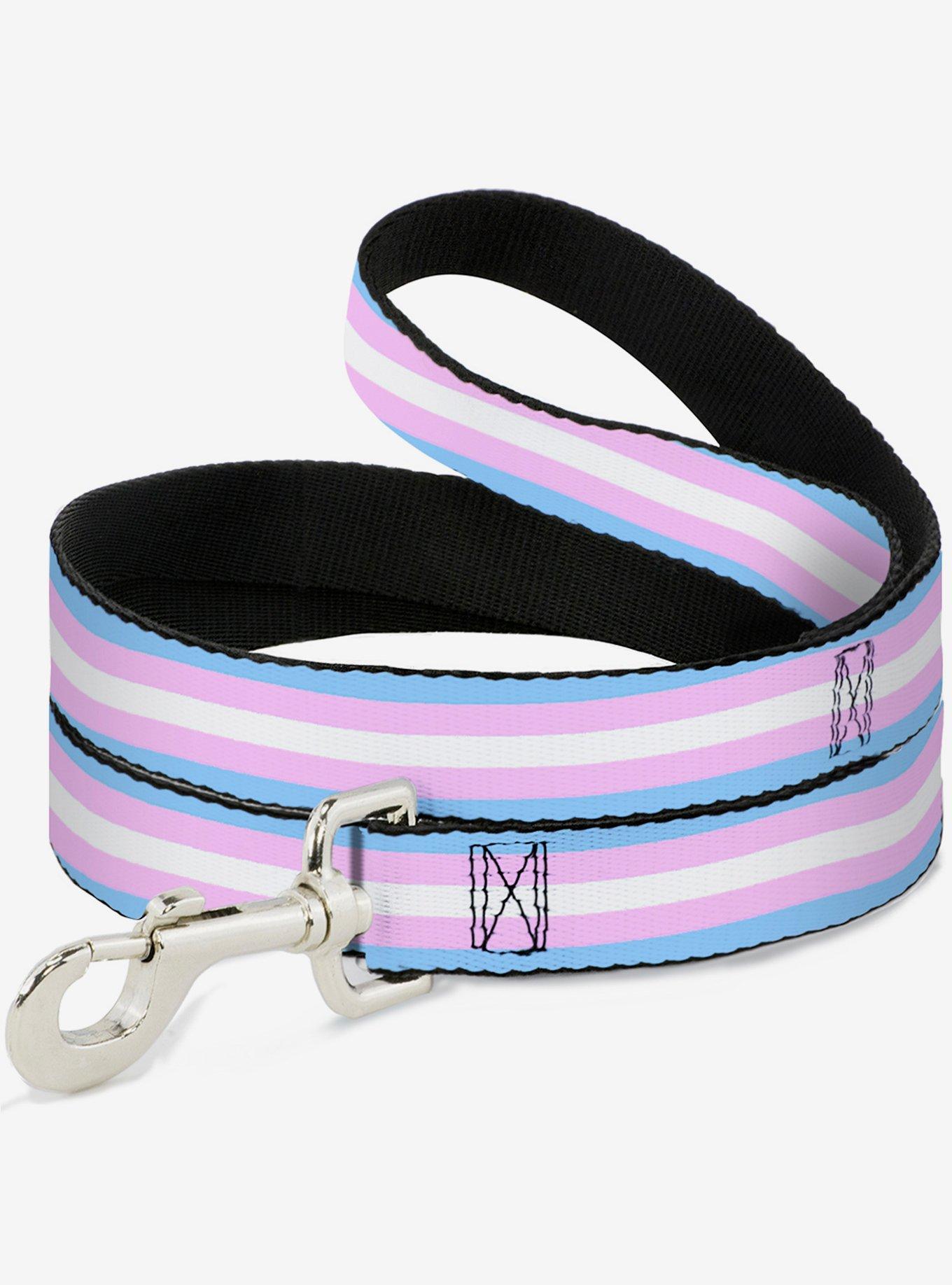 Transgender Flag Dog Leash, , hi-res