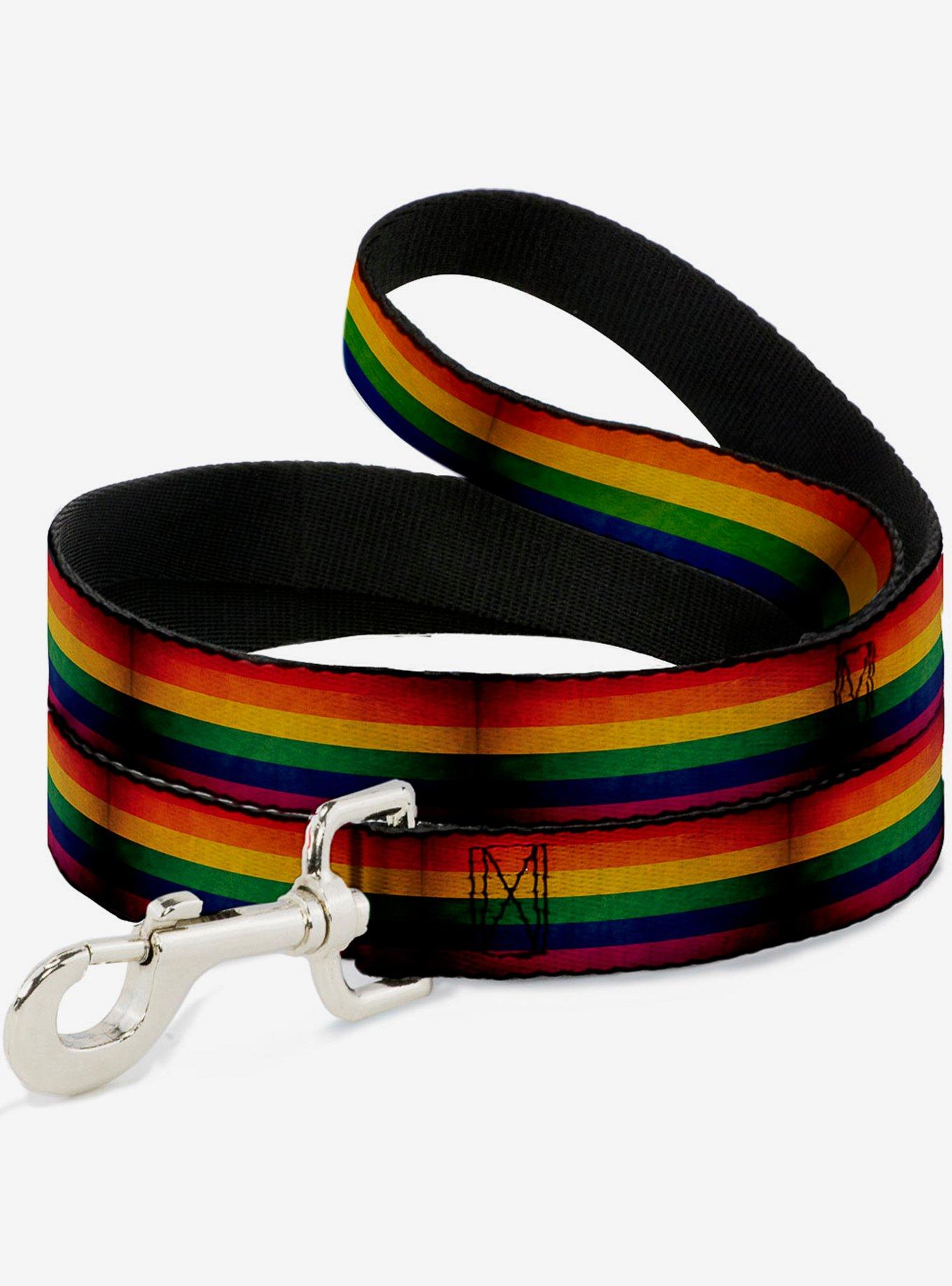 Weathered Rainbow Pride Flag Dog Leash, , hi-res