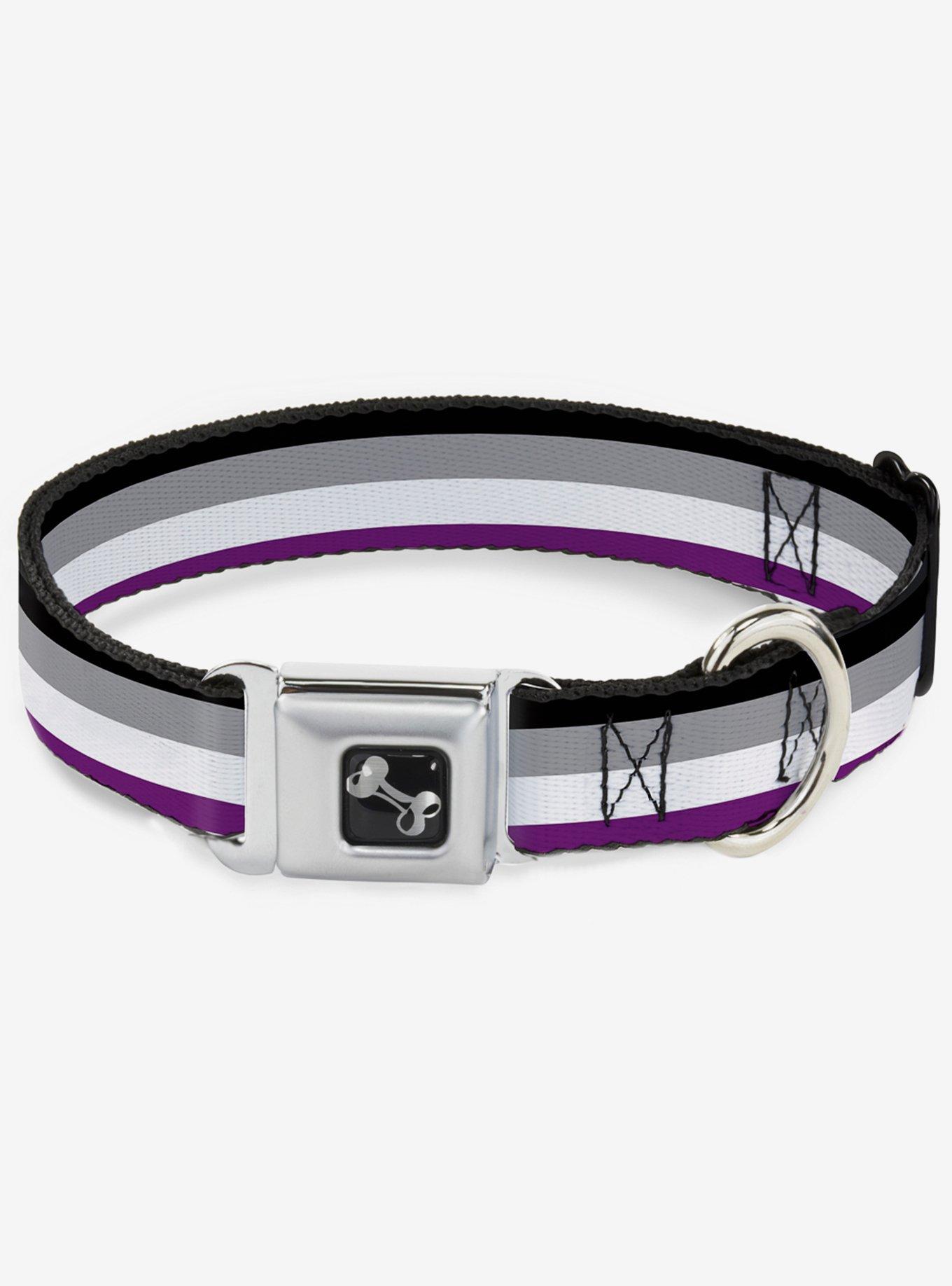 Asexual Flag Seatbelt Dog Collar, RAINBOW, hi-res