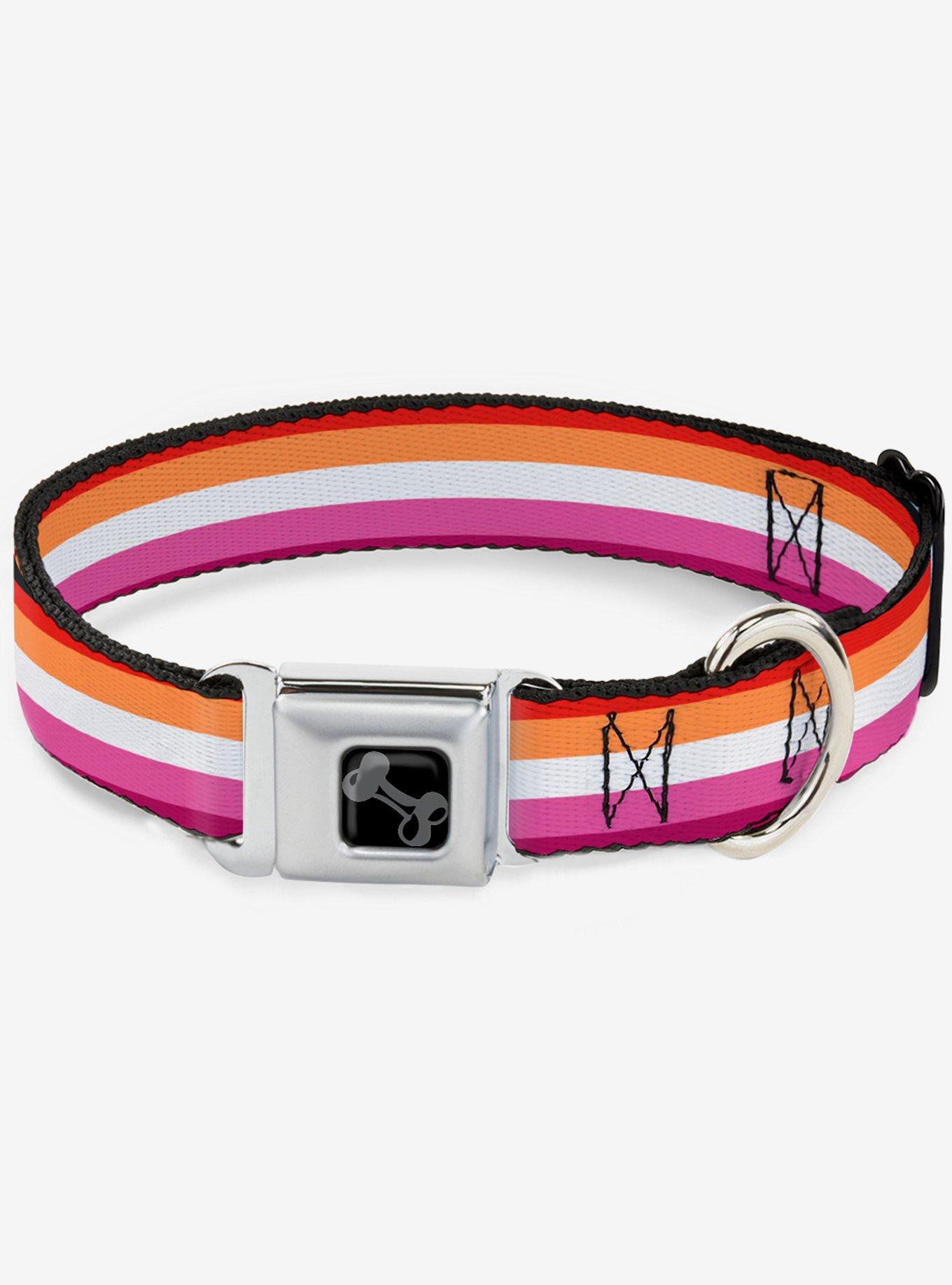Lesbian Flag Seatbelt Dog Collar, RAINBOW, hi-res