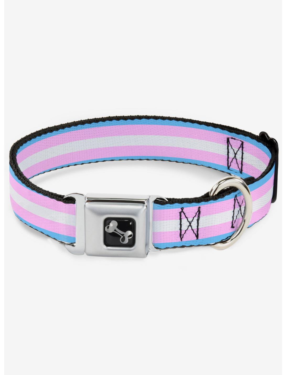 Transgender Flag Seatbelt Dog Collar, RAINBOW, hi-res