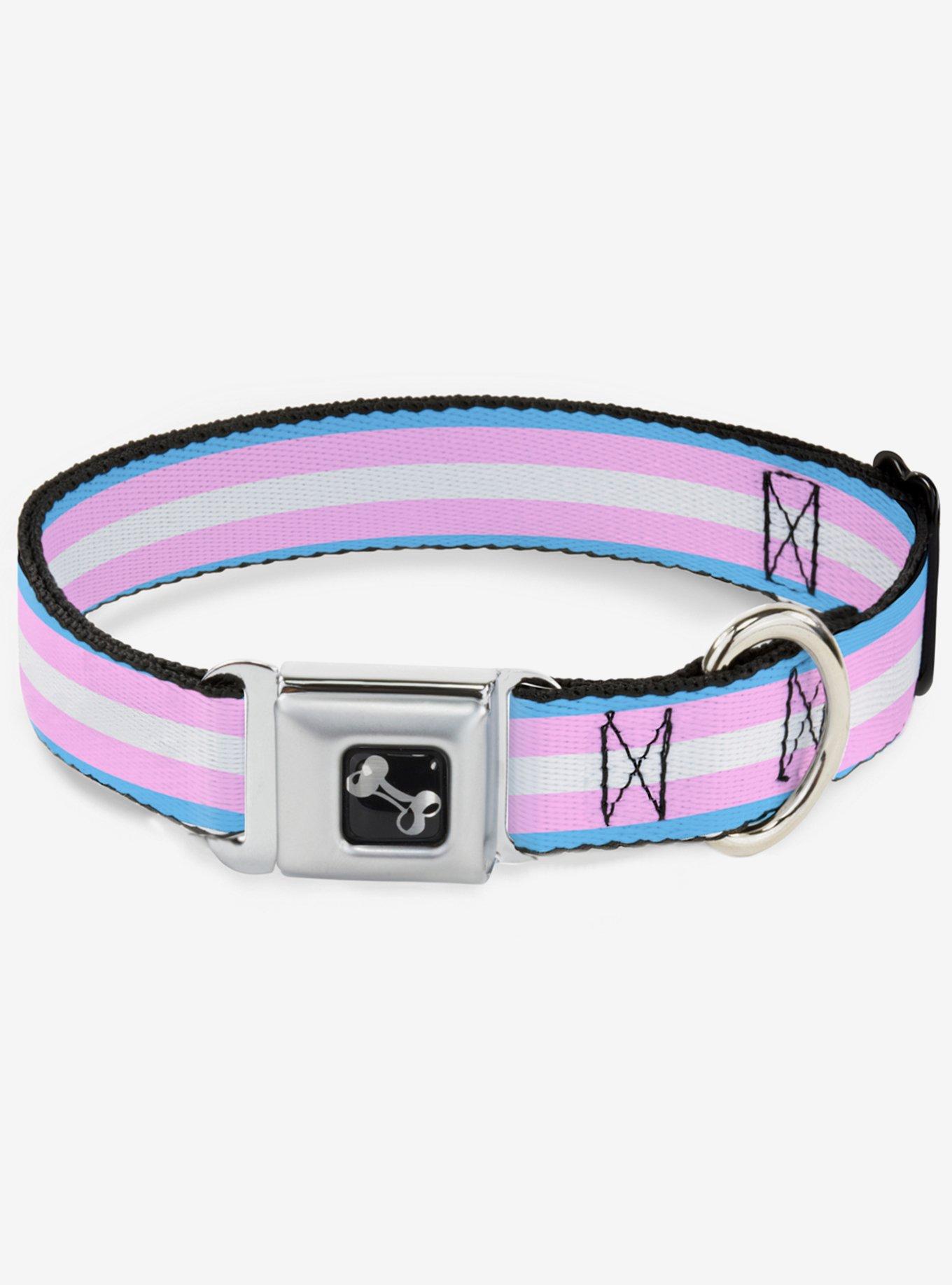 Transgender Flag Seatbelt Dog Collar, RAINBOW, hi-res
