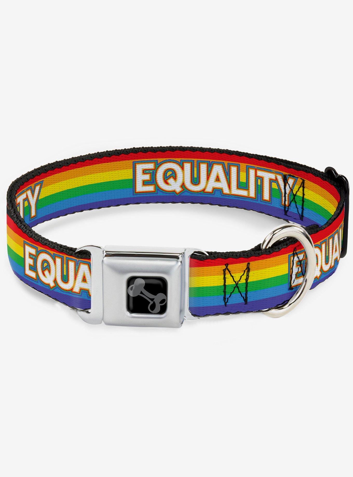 Equality Stripe Seatbelt Dog Collar, RAINBOW, hi-res