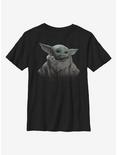 Star Wars The Mandalorian The Child Fade Youth T-Shirt, BLACK, hi-res