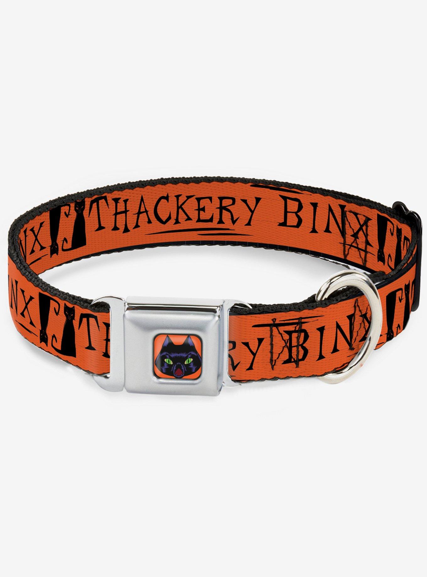 Hocus Pocus Thackery Binx Cat Silhouette Seatbelt Dog Collar, BLACK, hi-res