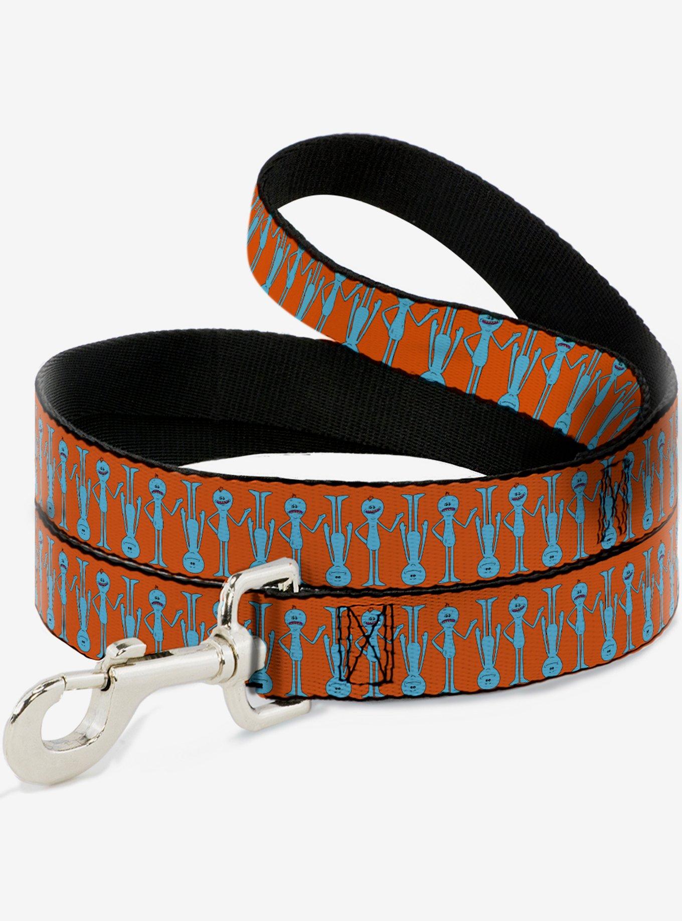 Rickand Morty Mr. Meeseeks Dog Leash, , hi-res