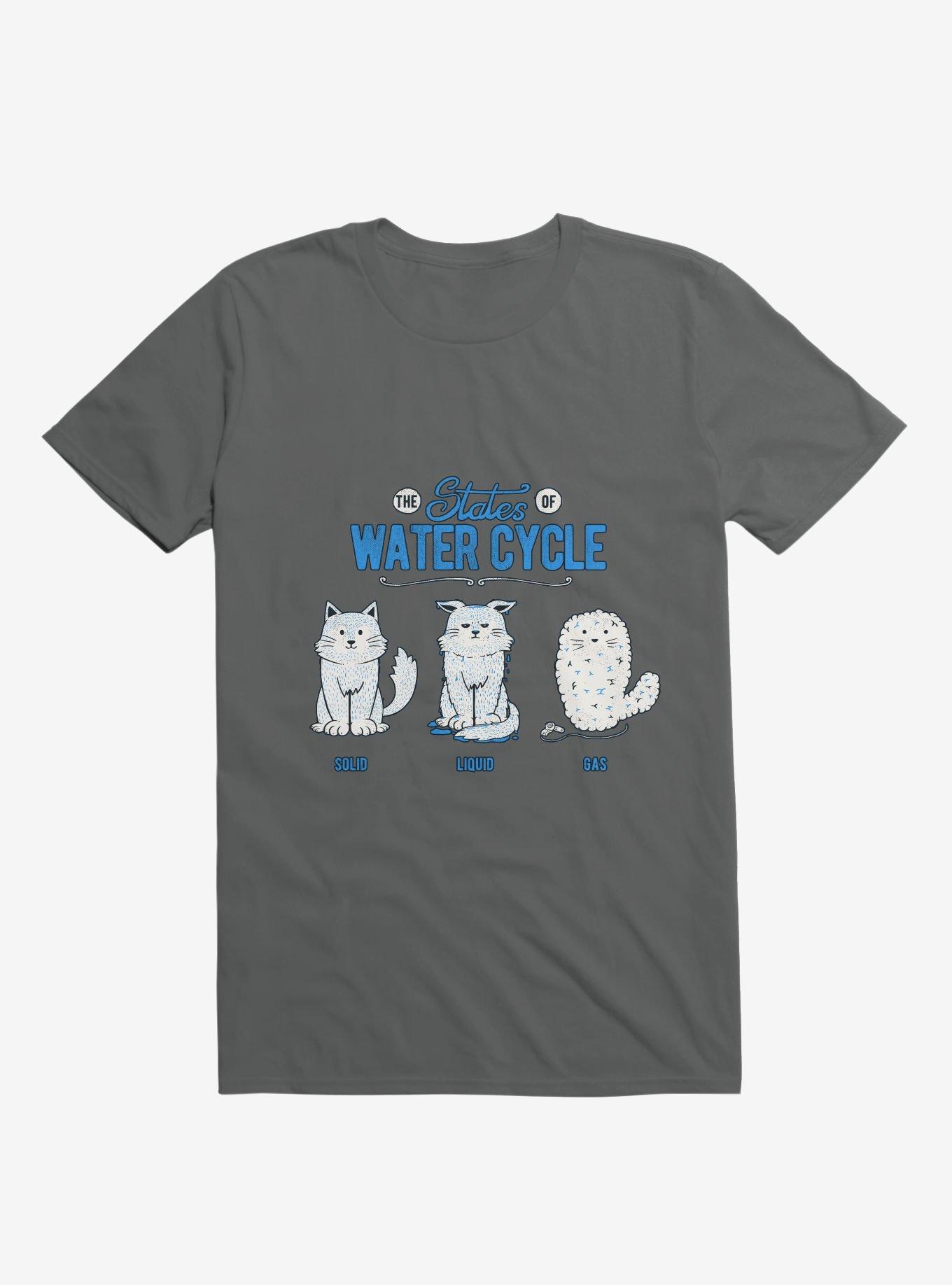 The States Of The Water Cycle Cat T-Shirt, CHARCOAL, hi-res
