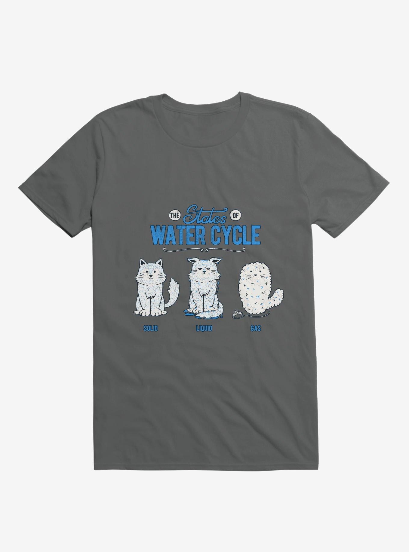 The States Of The Water Cycle Cat T-Shirt, , hi-res