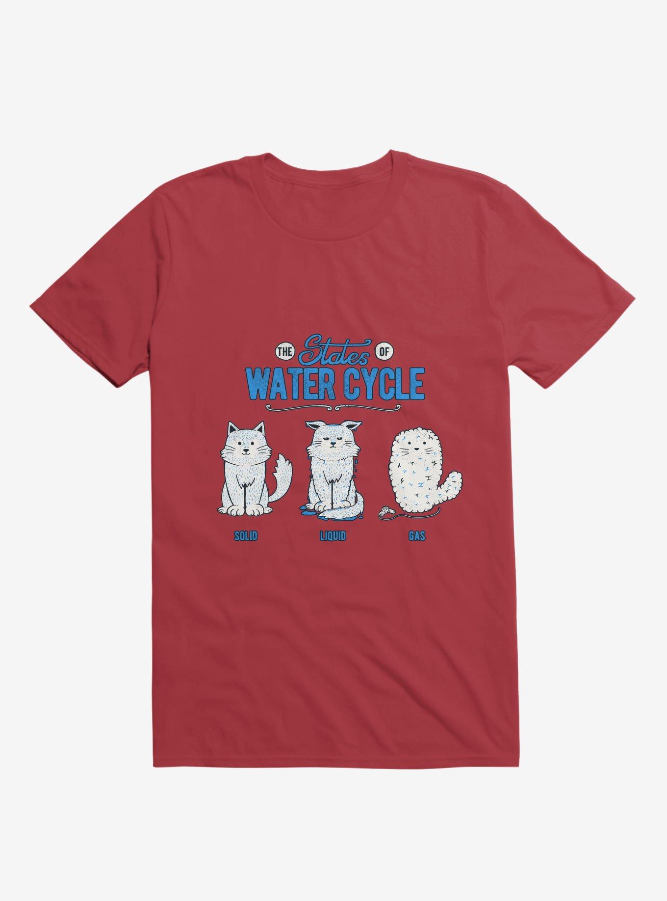 The States Of The Water Cycle Cat T-Shirt, , hi-res