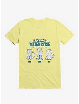 The States Of The Water Cycle Cat T-Shirt, , hi-res