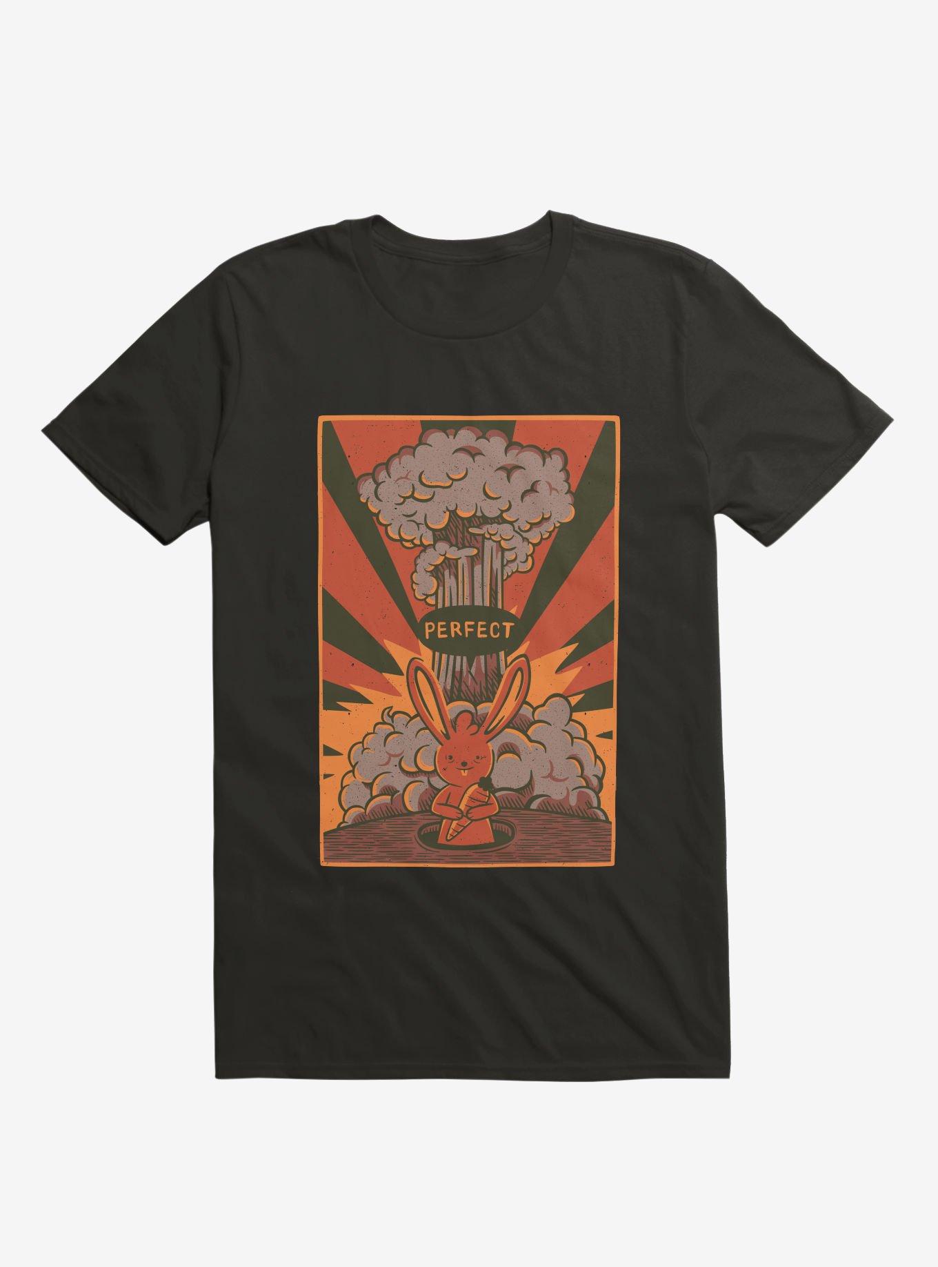 Perfect T-Shirt, BLACK, hi-res