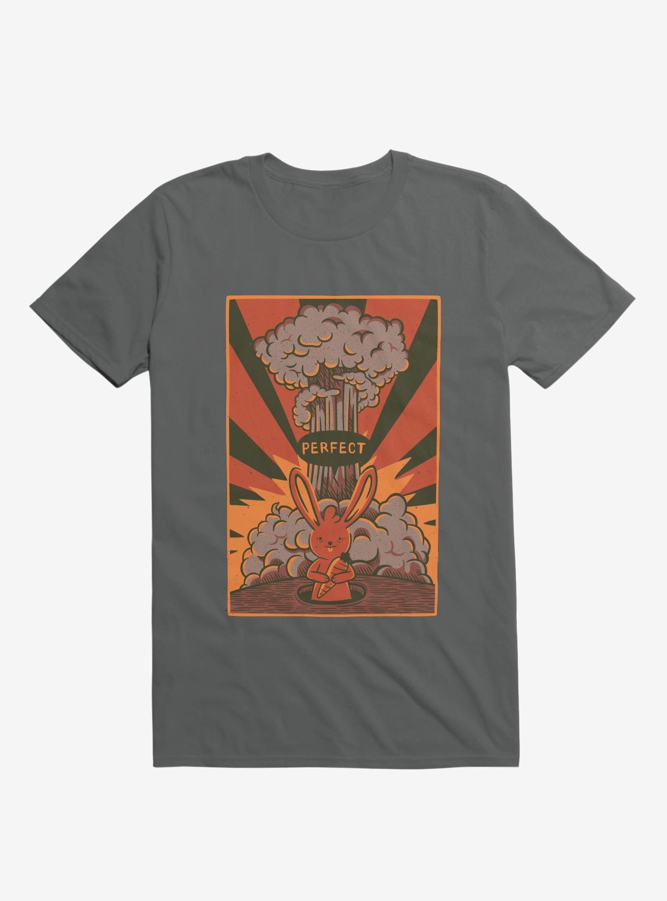 Perfect T-Shirt, , hi-res