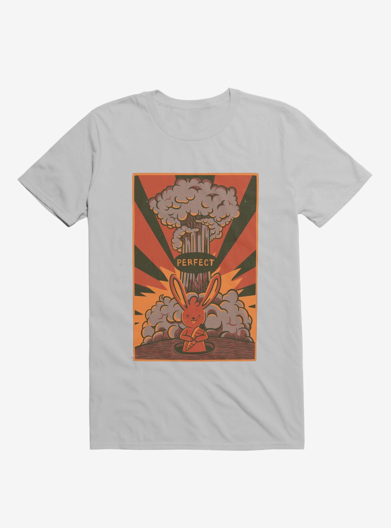 Perfect T-Shirt