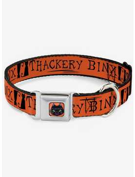 Hocus Pocus Thackery Binx Cat Silhouette Seatbelt Dog Collar, , hi-res