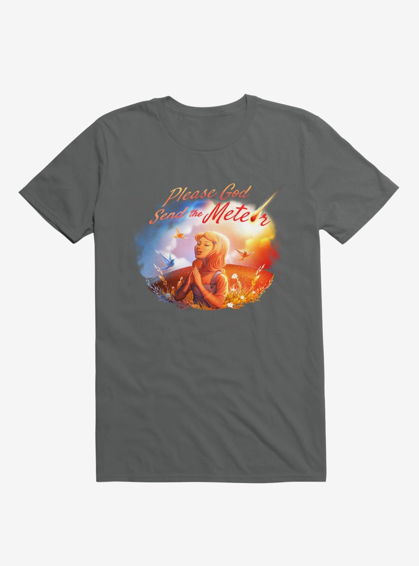 Please God Send The Meteor Charcoal Grey T-Shirt, , hi-res