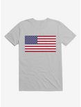 The United States Flag T-Shirt, ICE GREY, hi-res