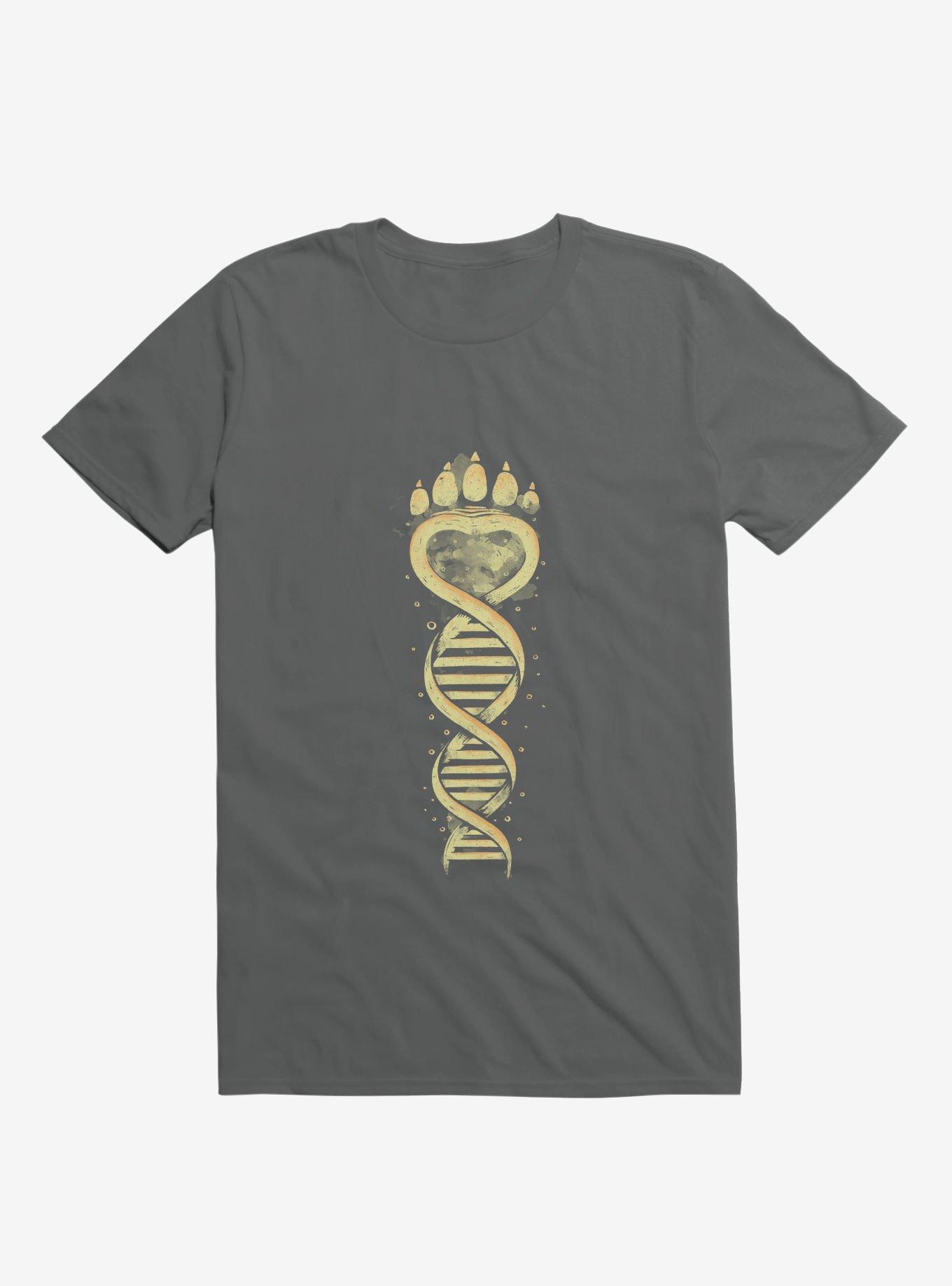 Bear DNA Charcoal Grey T-Shirt, , hi-res