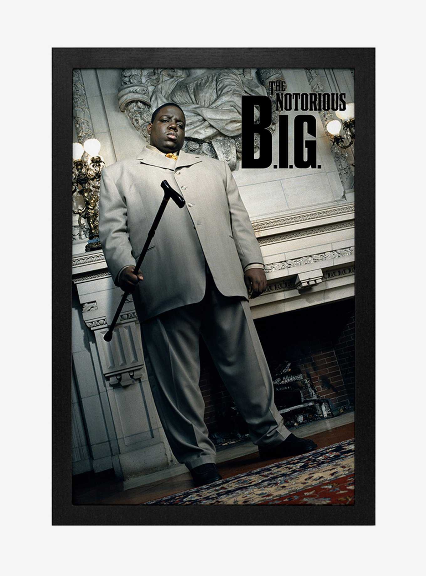 The Notorious B.I.G. Cane Framed Wood Wall Art, , hi-res