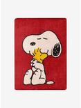 Peanuts Snoopy And Stock Silk Touch Throw, , hi-res