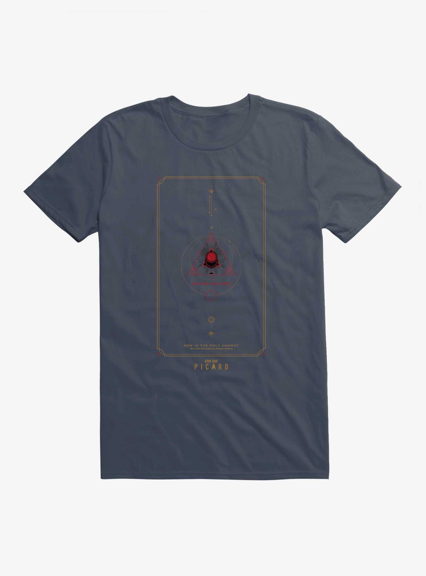 Star Trek: Picard Now Is The Only Moment T-Shirt, , hi-res